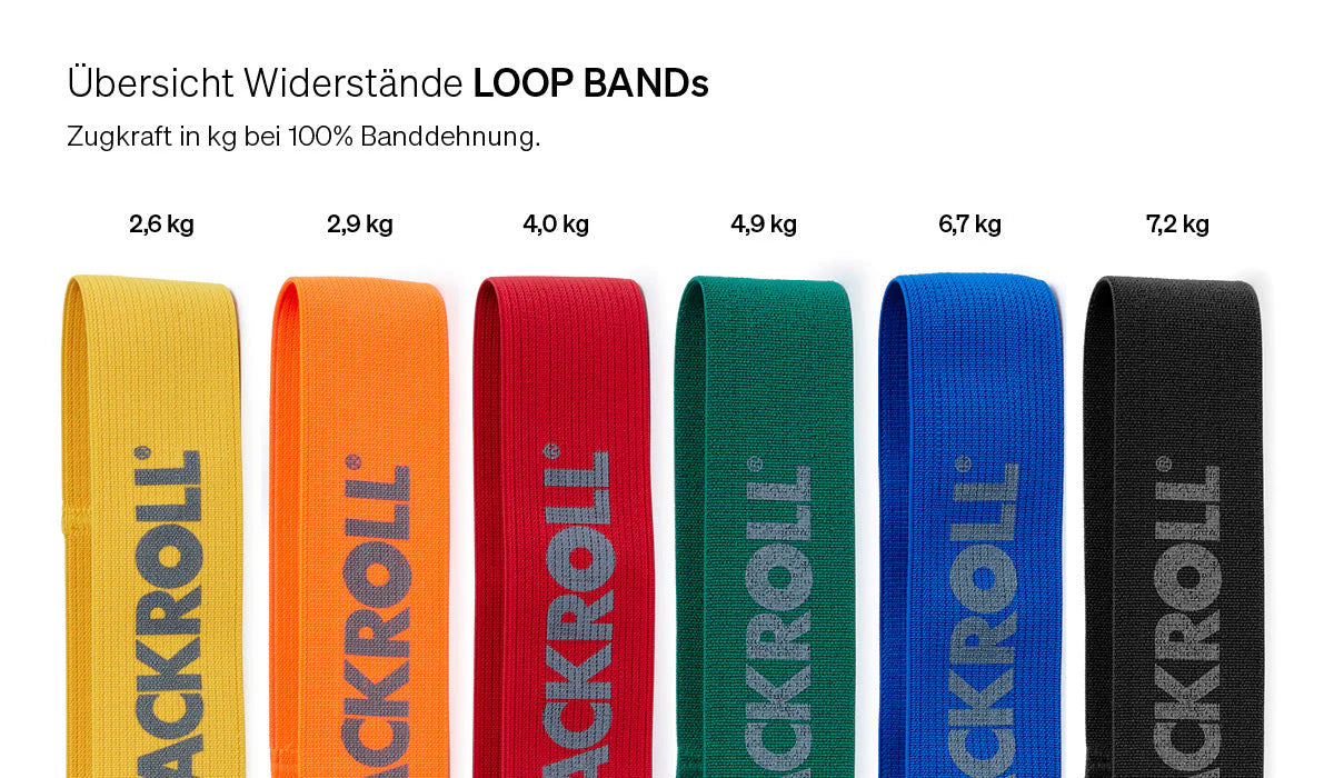 Blackroll Loop Band Set 6er
