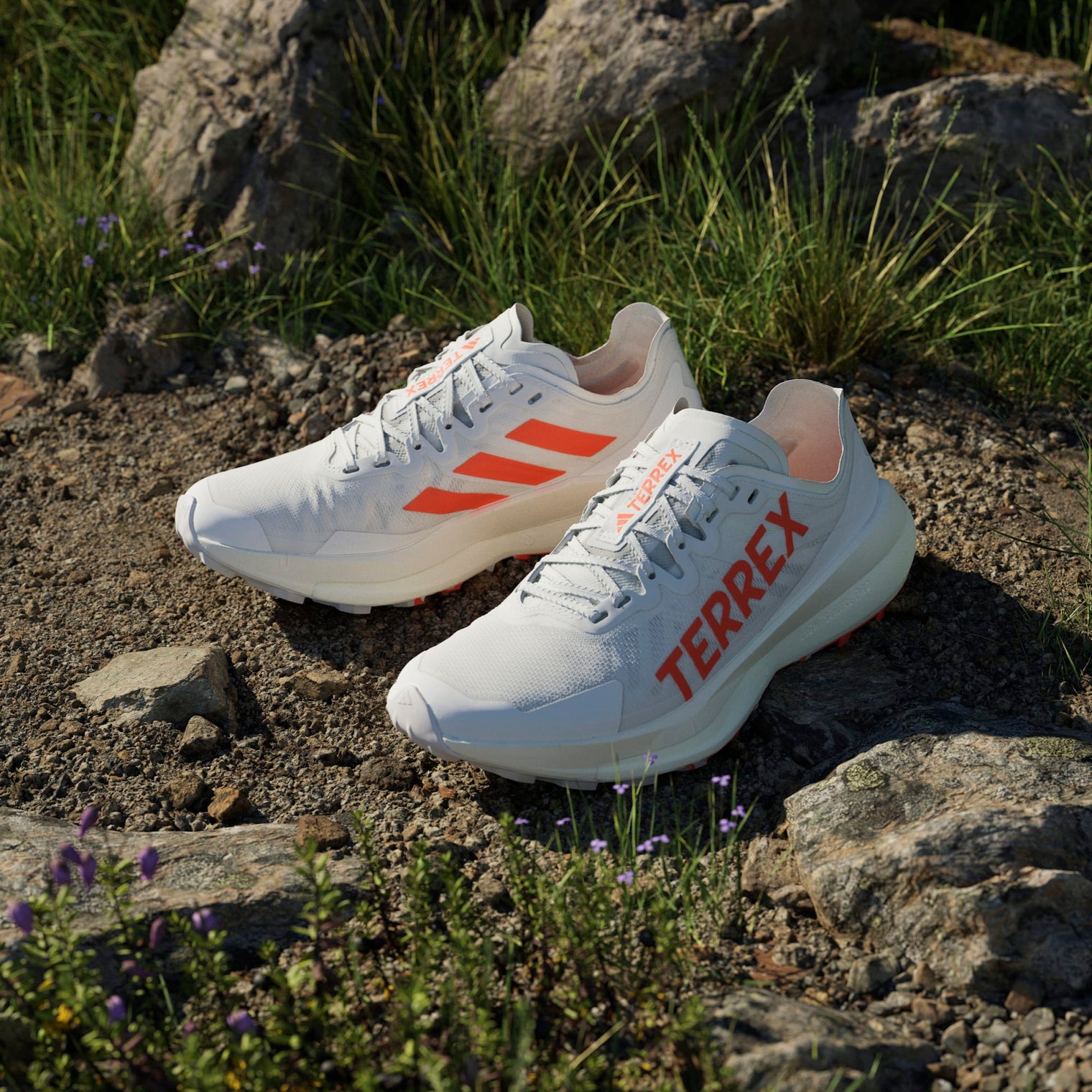 Adidas Terrex Agravic Speed Damen