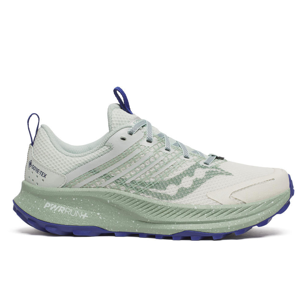 Saucony Ride TR2 GTX Damen