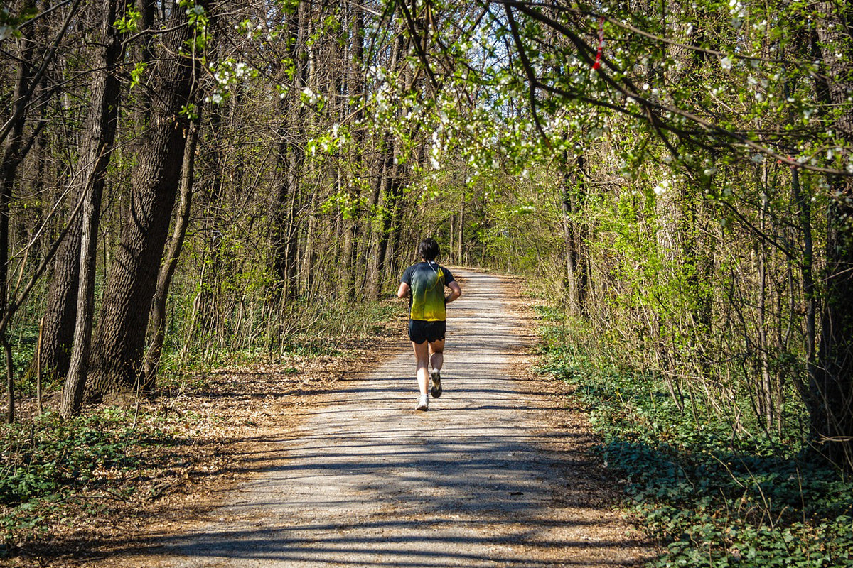 Greif - for running life (Teil 31)