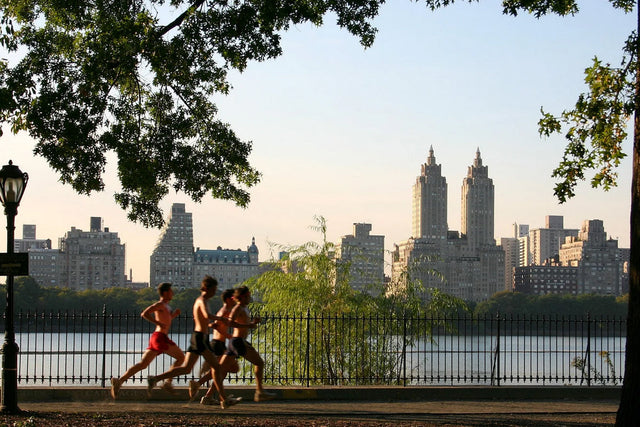 Puls oder Pace? Unser Guide für dein Lauftraining