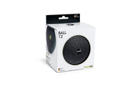 Blackroll Ball 12