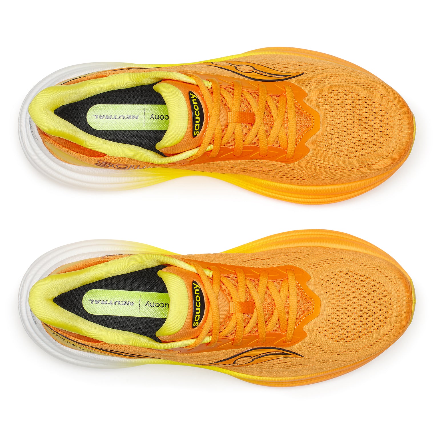 Saucony Triumph 24 Herren