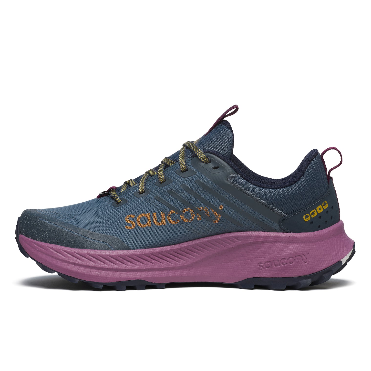 Saucony Ride TR2 GTX Damen