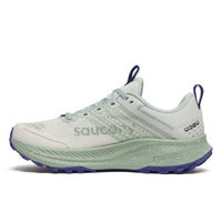 Saucony Ride TR2 GTX Damen