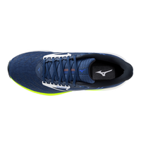 Mizuno Wave Rider 29 Herren
