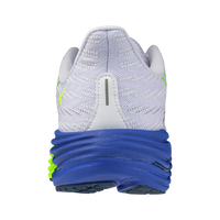 Mizuno Wave Rider 29 Herren