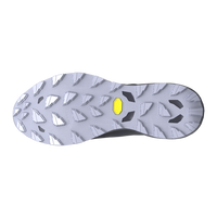 Mizuno Wave Daichi 9 GTX Herren