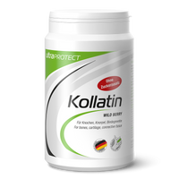Ultra Sports Kollatin