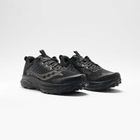 Saucony Ride TR2 GTX Damen